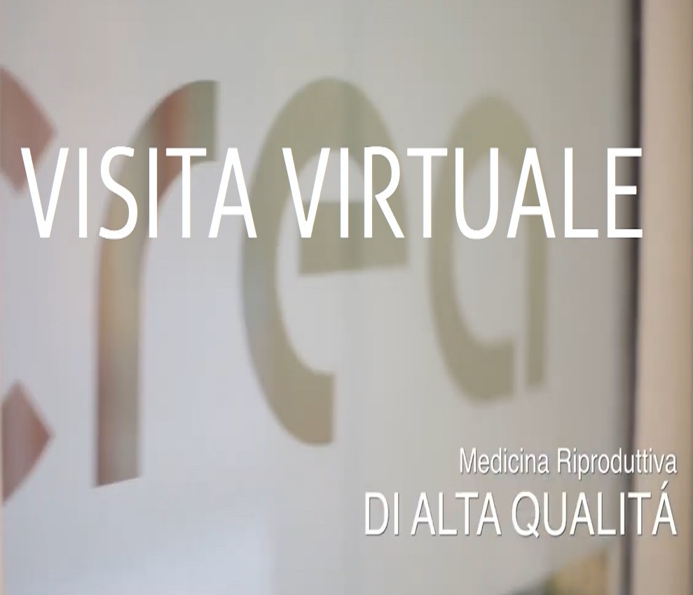 VISITA VIRTUALE